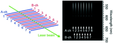 Graphical abstract: A simple and highly sensitive spectroscopic fluorescence-detection system for multi-channel plastic-microchip electrophoresis based on side-entry laser-beam zigzag irradiation