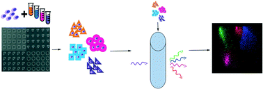 Graphical abstract: 3D material cytometry (3DMaC): a very high-replicate, high-throughput analytical method using microfabricated, shape-specific, cell-material niches