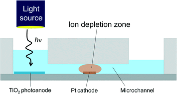 Graphical abstract: Photoelectrochemical ion concentration polarization: membraneless ion filtration based on light-driven electrochemical reactions