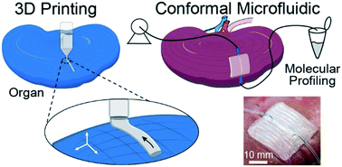 Graphical abstract: 3D printed conformal microfluidics for isolation and profiling of biomarkers from whole organs