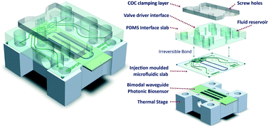 Graphical abstract: An automated optofluidic biosensor platform combining interferometric sensors and injection moulded microfluidics