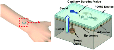 Graphical abstract: Soft, skin-mounted microfluidic systems for measuring secretory fluidic pressures generated at the surface of the skin by eccrine sweat glands