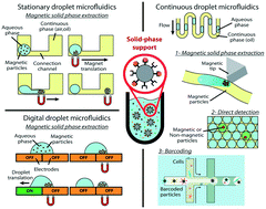 Graphical abstract: The power of solid supports in multiphase and droplet-based microfluidics: towards clinical applications