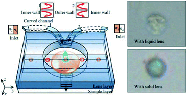 Graphical abstract: A switchable 3D liquid–liquid biconvex lens with enhanced resolution using Dean flow