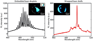 Graphical abstract: Embedding liquid lasers within or around aqueous microfluidic droplets