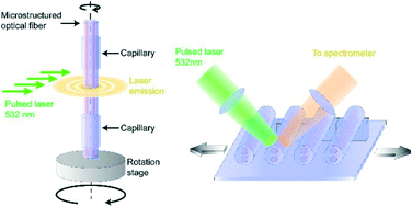 Graphical abstract: Reproducible fiber optofluidic laser for disposable and array applications