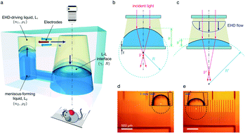 Graphical abstract: Dual-mode reconfigurable focusing using the interface of aqueous and dielectric liquids