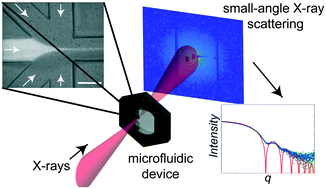 Graphical abstract: Cyclic olefin copolymer as an X-ray compatible material for microfluidic devices