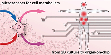 Graphical abstract: Microsensor systems for cell metabolism – from 2D culture to organ-on-chip