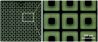 Graphical abstract: 3D printed high density, reversible, chip-to-chip microfluidic interconnects