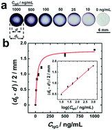 Graphical abstract: Converting colour to length based on the coffee-ring effect for quantitative immunoassays using a ruler as readout