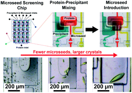 Graphical abstract: X-ray transparent microfluidic platforms for membrane protein crystallization with microseeds