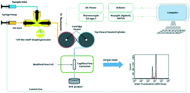 Graphical abstract: Capillary-based integrated digital PCR in picoliter droplets