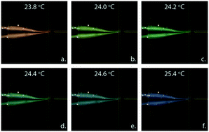 Graphical abstract: Optical calorimetry in microfluidic droplets