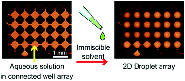 Graphical abstract: Self-generation of two-dimensional droplet array using oil–water immiscibility and replacement