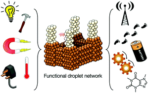 Graphical abstract: Functional aqueous droplet networks