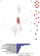 Graphical abstract: Comprehensive analysis of long noncoding RNA–mRNA co-expression patterns in thyroid cancer