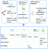 Graphical abstract: Prediction of drug–pathway interaction pairs with a disease-combined LSA-PU-KNN method
