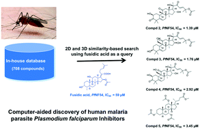 Graphical abstract: Identification of steroid-like natural products as antiplasmodial agents by 2D and 3D similarity-based virtual screening