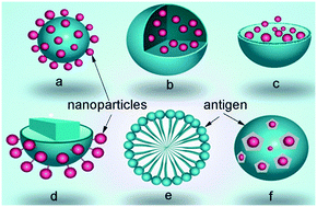 Graphical abstract: Applications and perspectives of nanomaterials in novel vaccine development