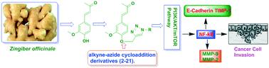 Graphical abstract: Alkyne–azide cycloaddition analogues of dehydrozingerone as potential anti-prostate cancer inhibitors via the PI3K/Akt/NF-kB pathway