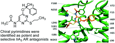 Graphical abstract: Studies on enantioselectivity of chiral 4-acetylamino-6-alkyloxy-2-alkylthiopyrimidines acting as antagonists of the human A3 adenosine receptor