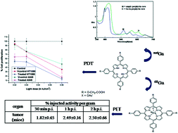 Graphical abstract: Studies towards elucidating the potential of 5,10,15,20-tetrakis(p-carboxy-methyleneoxyphenyl)porphyrin as a theranostic agent for applications in PET and PDT