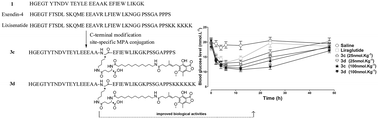 Graphical abstract: Synthesis and pharmaceutical characterization of site specific mycophenolic acid-modified Xenopus glucagon-like peptide-1 analogs