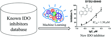 Graphical abstract: Discovery of indoleamine 2,3-dioxygenase inhibitors using machine learning based virtual screening