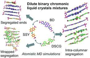 Graphical abstract: Molecular dynamics of dilute binary chromonic liquid crystal mixtures