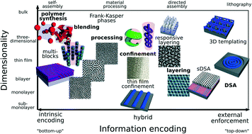 Graphical abstract: Beyond native block copolymer morphologies