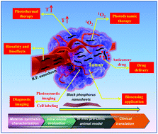 Graphical abstract: Two-dimensional black phosphorus nanosheets for theranostic nanomedicine