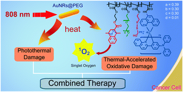Graphical abstract: Photothermal-triggered release of singlet oxygen from an endoperoxide-containing polymeric carrier for killing cancer cells