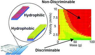 Graphical abstract: Human ability to discriminate surface chemistry by touch