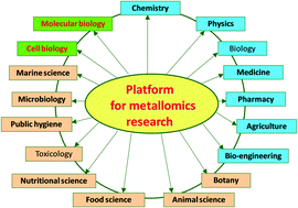 Graphical abstract: Metallomics: the history over the last decade and a future outlook