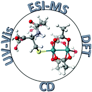 Graphical abstract: Glutathione binding to dirhodium tetraacetate: a spectroscopic, mass spectral and computational study of an anti-tumour compound