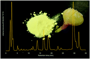 Graphical abstract: Sulphur fertilization influences the sulphur species composition in Allium sativum: sulphomics using HPLC-ICPMS/MS-ESI-MS/MS