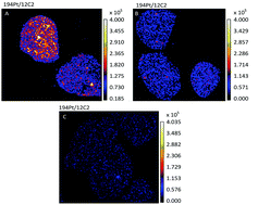 Graphical abstract: Differences in cisplatin distribution in sensitive and resistant ovarian cancer cells: a TEM/NanoSIMS study