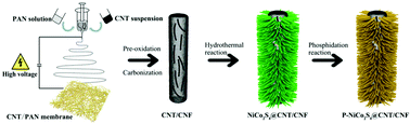 Graphical abstract: Phosphorus-doped NiCo2S4 nanocrystals grown on electrospun carbon nanofibers as ultra-efficient electrocatalysts for the hydrogen evolution reaction