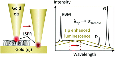 Graphical abstract: Permittivity imaged at the nanoscale using tip-enhanced Raman spectroscopy