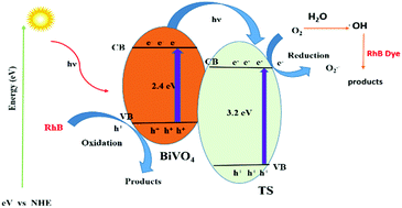 Graphical abstract: Synthesis, characterization, and photocatalytic degradation of Rhodamine B dye under sunlight irradiation of porous titanosilicate (TS)/bismuth vanadate (BiVO4) nanocomposite hybrid catalyst