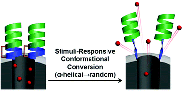Graphical abstract: Stimuli-responsive α-helical peptide gatekeepers for mesoporous silica nanocarriers