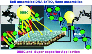Graphical abstract: Low-temperature synthesis of SrTiO3 nanoassemblies on DNA scaffolds and their applications in dye-sensitized solar cells and supercapacitors