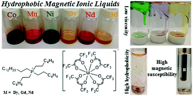Graphical abstract: Synthesis and characterization of low viscosity hexafluoroacetylacetonate-based hydrophobic magnetic ionic liquids