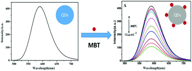 Graphical abstract: Phosphorescence detection of 2-mercaptobenzothiazole in environmental water samples by Mn-doped ZnS quantum dots