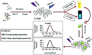 Graphical abstract: Highly fluorescent nitrogen-doped graphene quantum dots as a green, economical and facile sensor for the determination of sunitinib in real samples