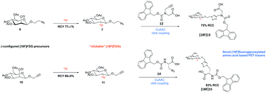 Graphical abstract: β-Configured clickable [18F]FDGs as novel 18F-fluoroglycosylation tools for PET