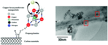 Graphical abstract: Copper hexacyanoferrate functionalized single-walled carbon nanotubes for selective cesium extraction