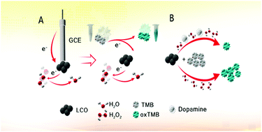 Graphical abstract: Perovskite LaCoO3 nanoparticles as enzyme mimetics: their catalytic properties, mechanism and application in dopamine biosensing