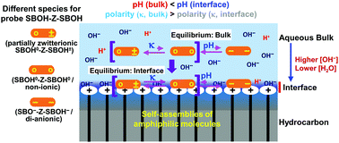 Graphical abstract: Interfacial pH and polarity detection of amphiphilic self-assemblies using a single Schiff-base molecule